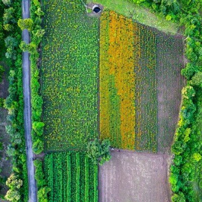 Análise de Dados com Inteligência Artificial - Aerotech Drones